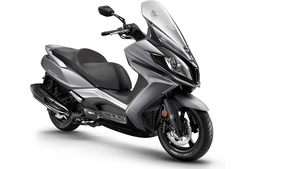 Kymco Bando ağırlık silindiri 22121-LEA7-305 şehir merkezi 350i Dink sokak 300 ABS insanlar GT 300, 20x12-15.5g (8 adet/takım) - Product Image 3