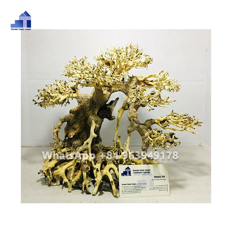 Designs quentes 2023 Aquários e Acessórios Aquarium Guppy Fish Live Aquarium Bonsai Driftwood Natural WhatsApp + 84 963 949 178