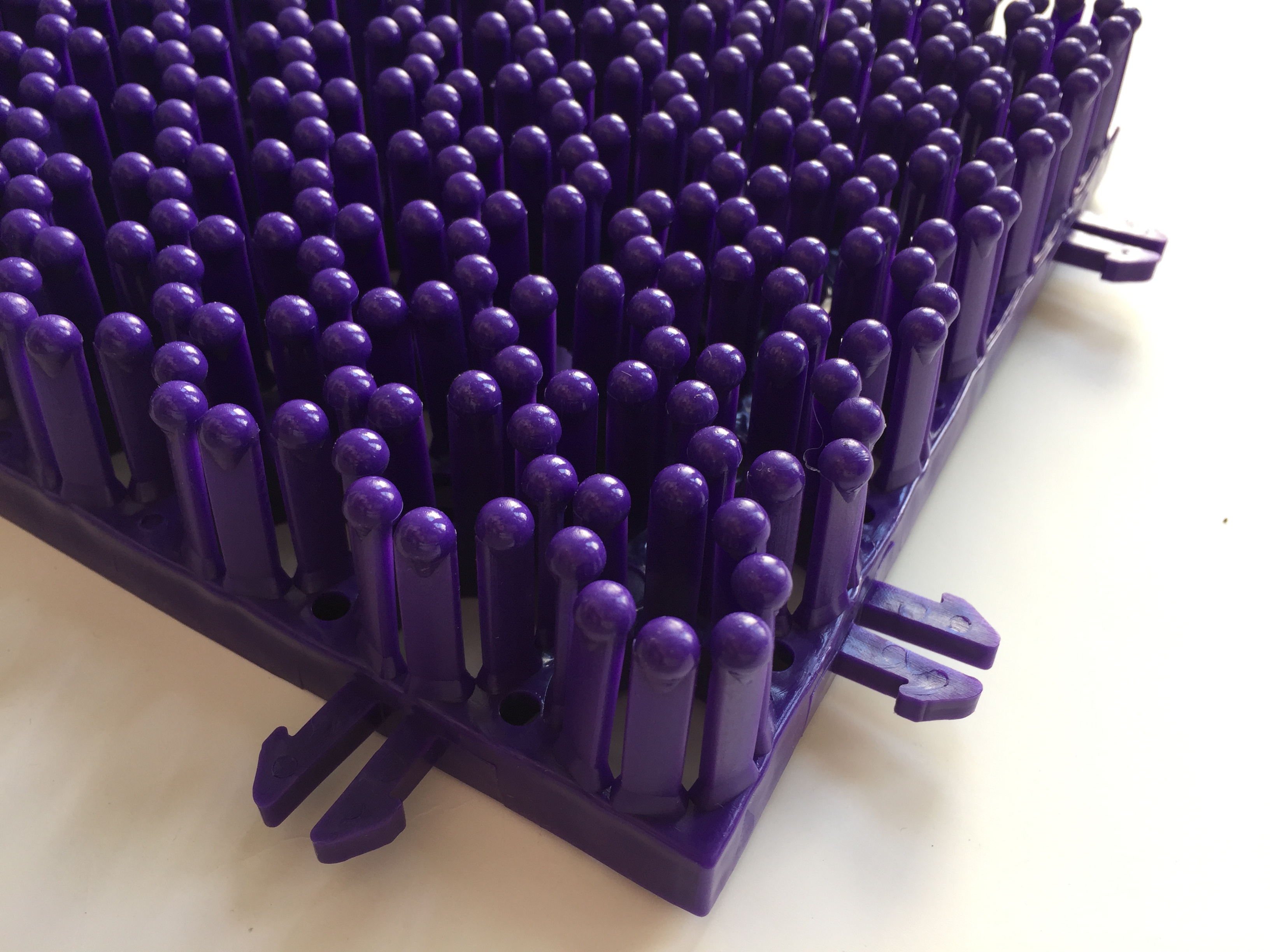 Pourpre