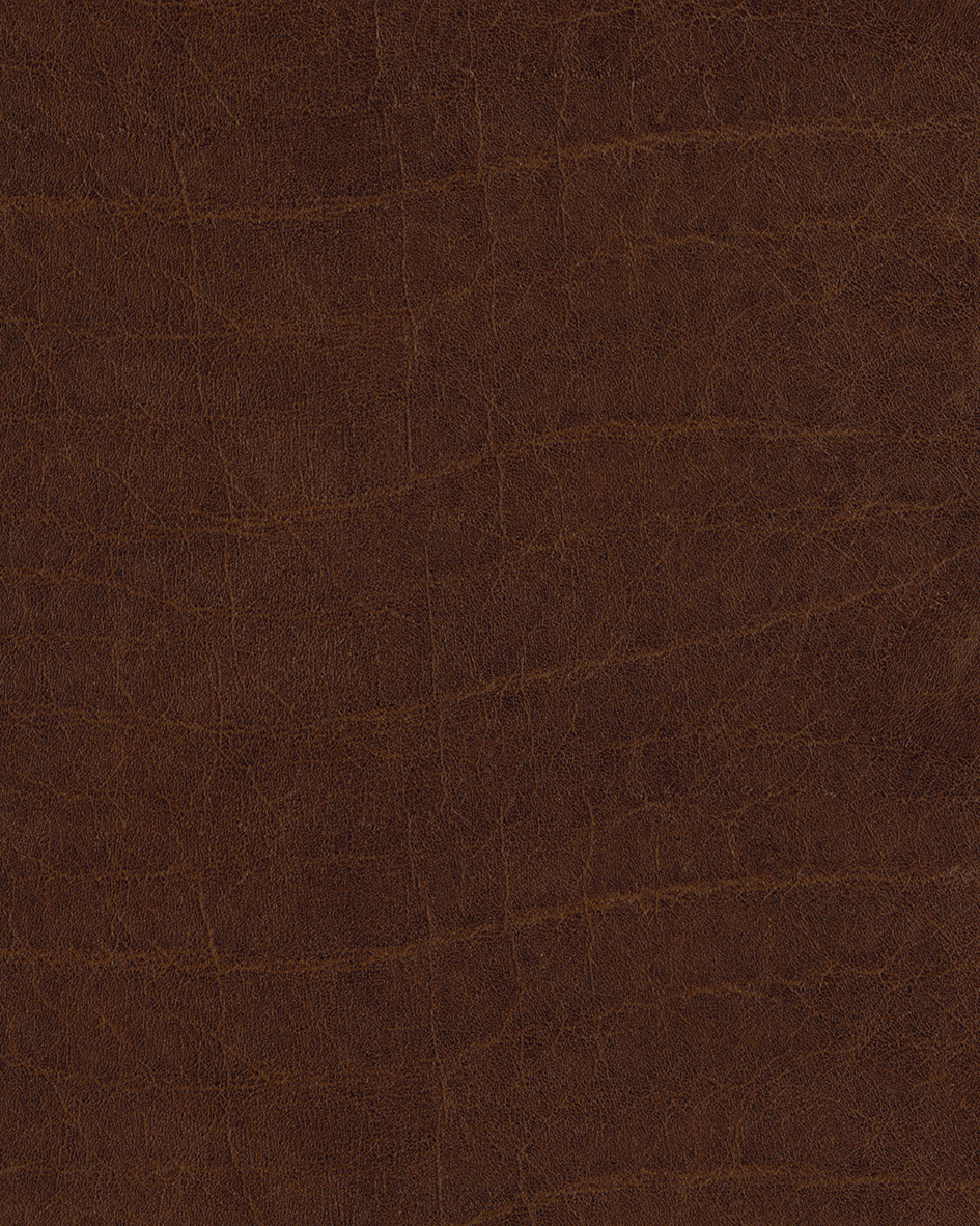 สีน้ำตาลเข้ม