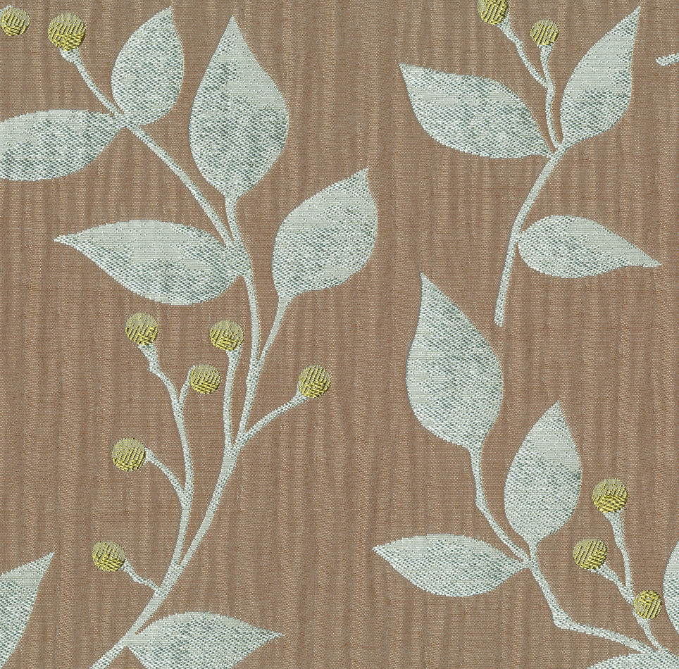 สีเขียว * สีน้ำตาล