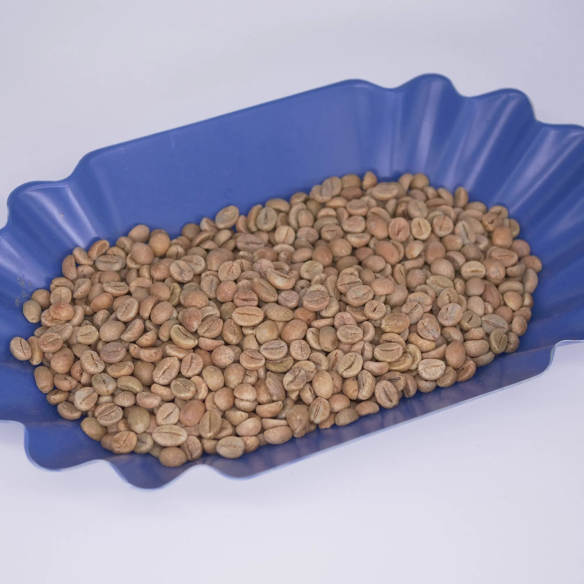 EthioCo GmbH (Ltd) - Indian Robusta Cherry A Green Coffee