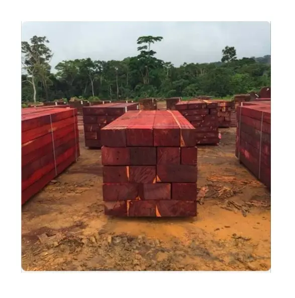 Hochwertiges afrikanisches Padauk-Holz Holz/Holz/Schnittholz mit verhandelbarem Preis für Bodenbeläge, Möbel und andere Holz gegenstände