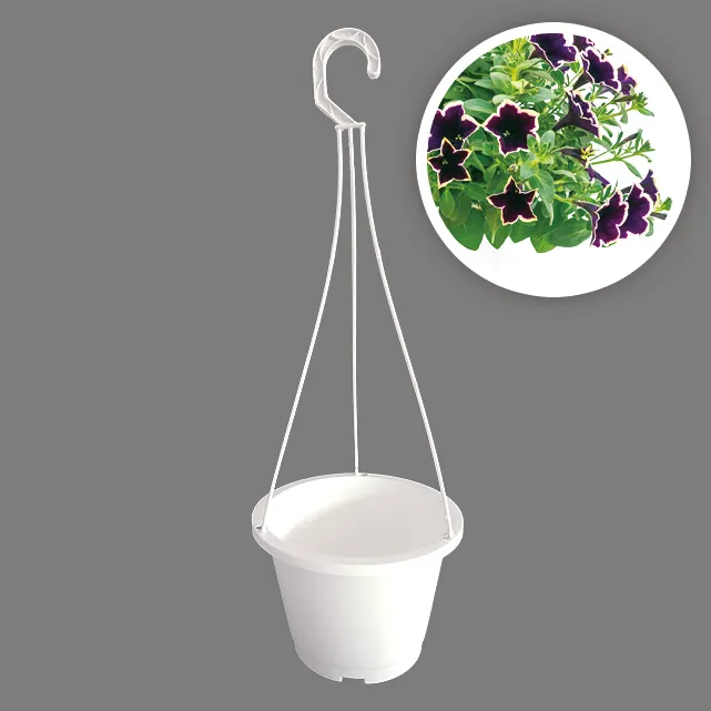 Aiermei-maceta colgante de plástico con gancho para plantas, L-043 para decoración del hogar, color verde, blanco