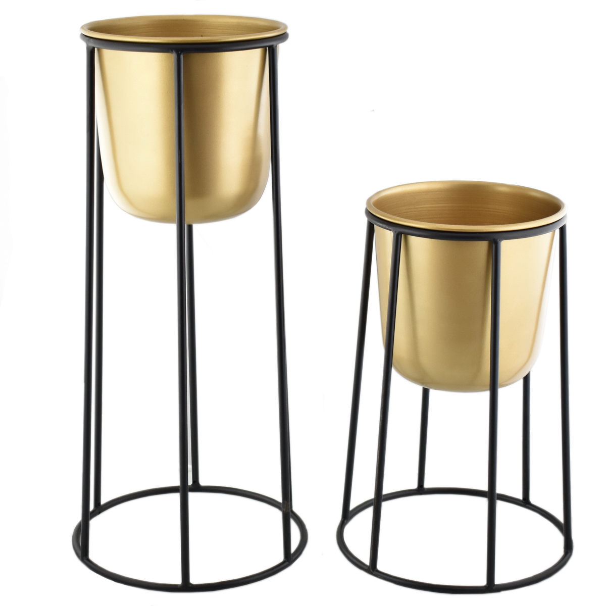 Gold & Black