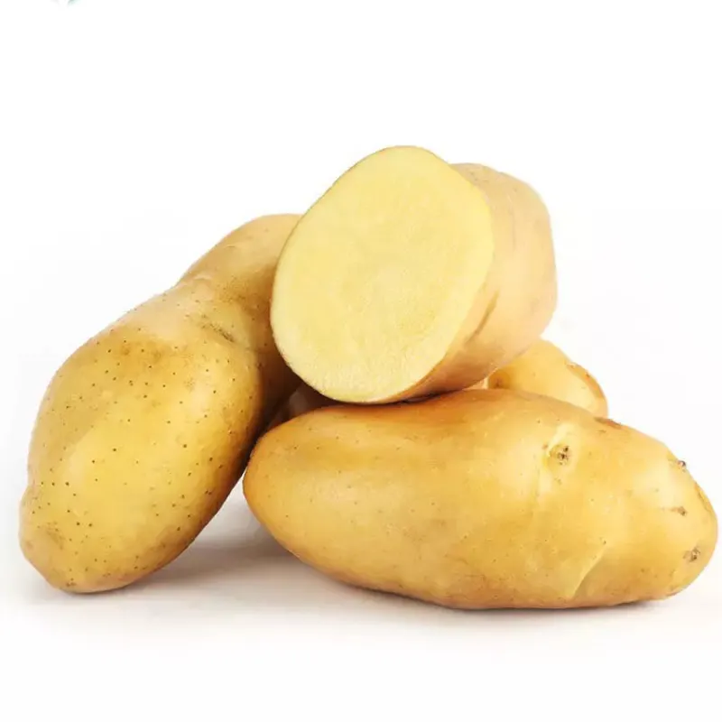 Organic Fresh Potatoes High Quality Fresh Ginger , Golden Yellow Potatoes , White Potato