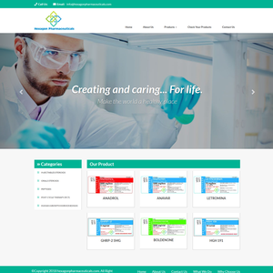 <strong>Website</strong> <strong>Design</strong> ECommerce Wordpress Template for Business CMS Web Designing Responsive Online Store Development Services - Product Image 2