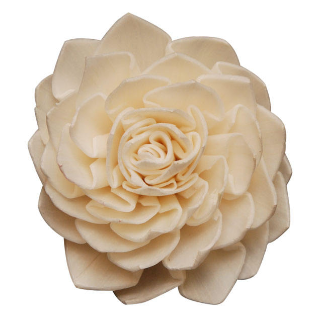 ธรรมชาติและสารพัน