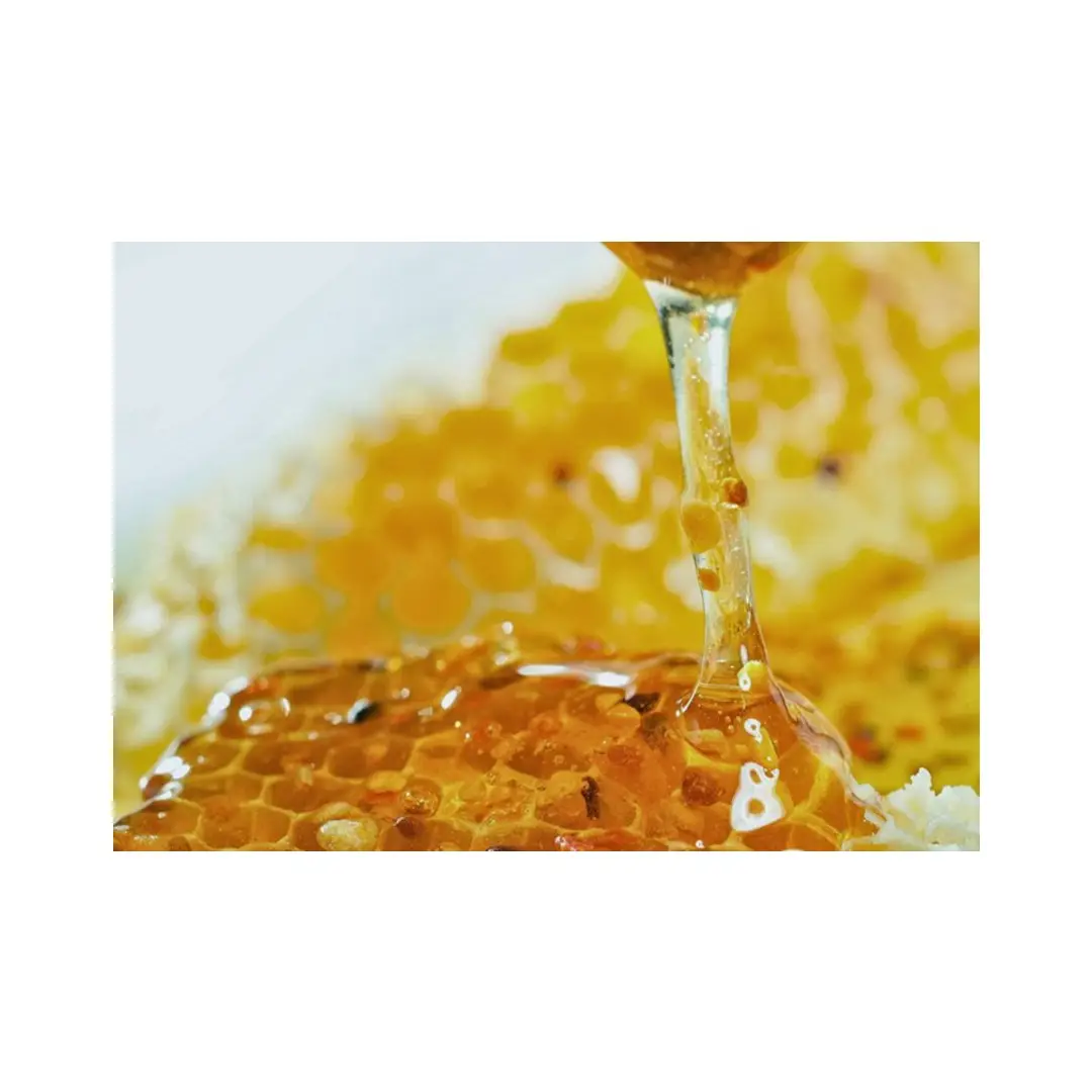 أرخص سعر عسل نحل فيتنام 2021 من قبل المورد 99 الذهب البيانات