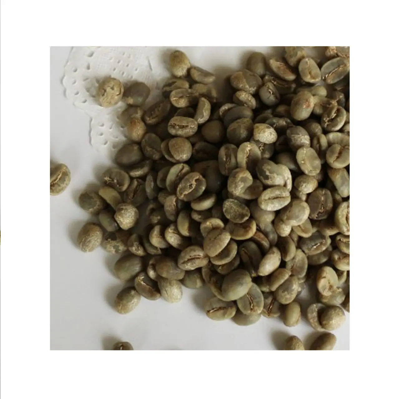 Productos de fabricación de granos de café crudo sin tostar, productos de exportación de Vietnam, bebida energética, café en grano robusto común