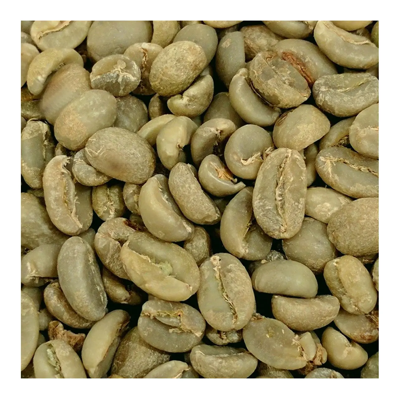 Fabbricazione di Prodotti Arrostito Organico Bolsas Para Cafe Della Miscela di Caffè Verde Chicco di Caffè Arabica Arrostito Terra Saudita Caffè COMUNE