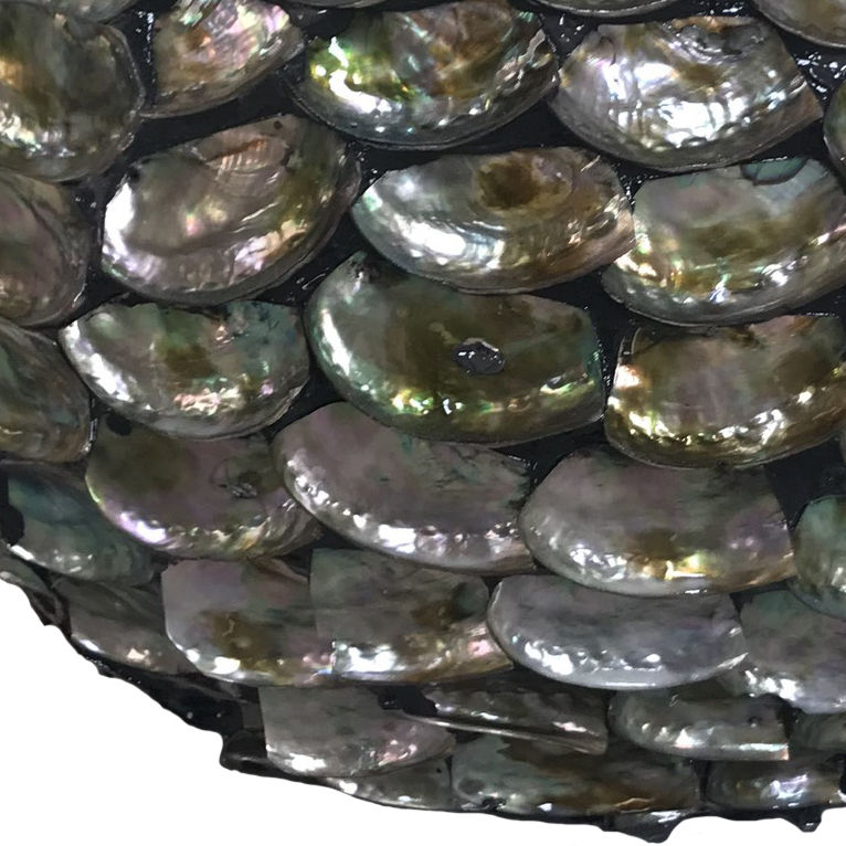 ไม้ถูพื้นสีดำ