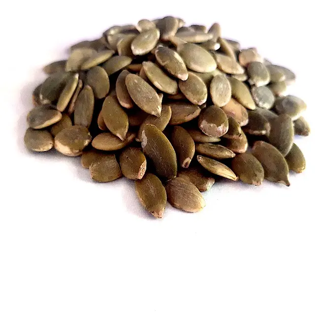 Graine de citrouille d'origine indienne-Cucurbita Pepo Seed bon pour la perte de poids