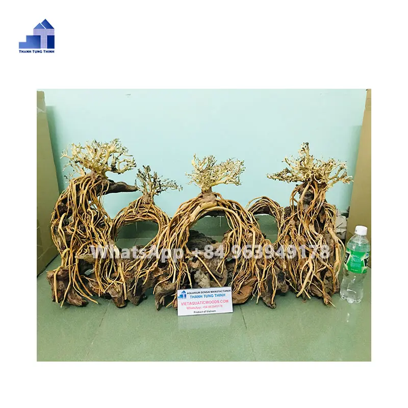 2023 Melhor Qualidade Natural Aquário Bonsai Tree Driftwood para decorações do aquário WhatsApp: + 84 961005832