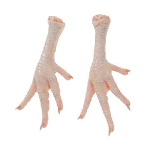 高品質の冷凍鶏の足/鶏の足 - Product Image 3