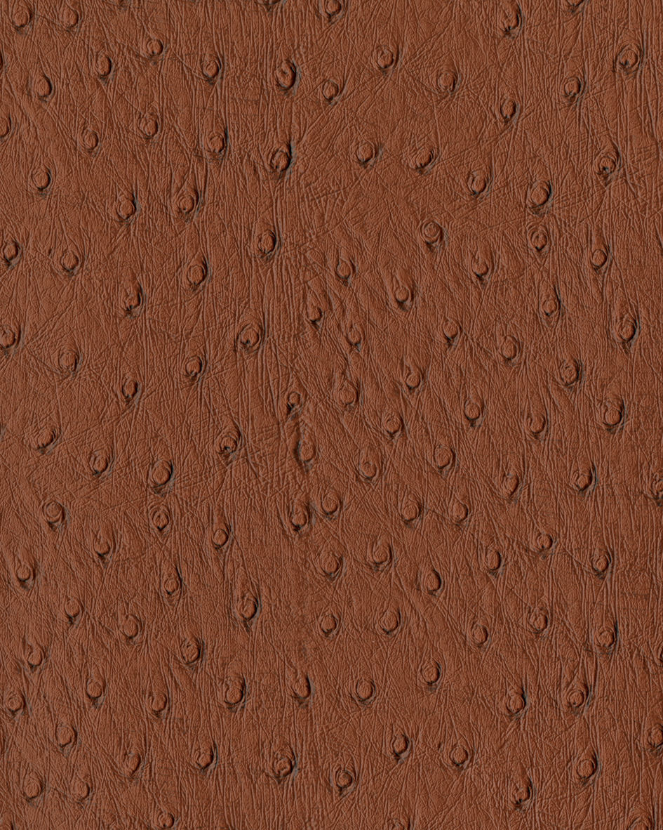 สีน้ำตาล