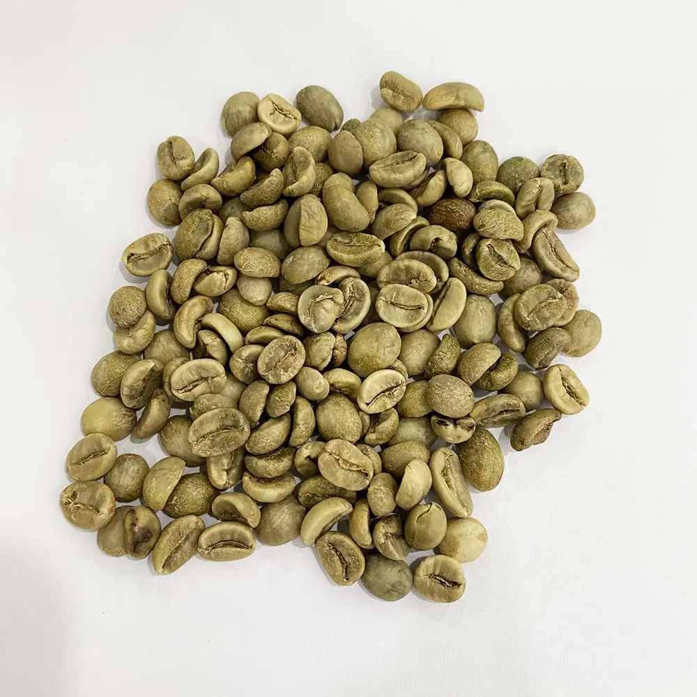 حبوب القهوة الخضراء الجملة جديد المحاصيل روبوستا حبوب البن على بيع القهوة الفول المصدرين التجارة