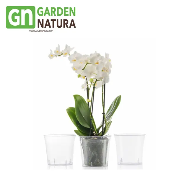 Di alta Qualità Poliwork Elata Orkid Interni In Plastica Vaso di fiori