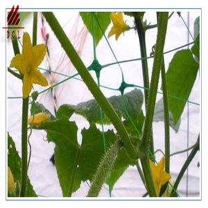 Rete a traliccio mi double scrog grid mesh 5x30 ft (circa 15.2x7.2 m) poliestere resistente bianco - Product Image 6
