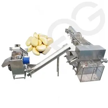 Automatic Vegetable Processing Plant Warranty 1 Year Stainless Steel Industrial Garlic Peeling Machine 1T/h