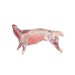 全身清真鲜/冷冻山羊/羊肉/屠体或出售 - Product Image 3