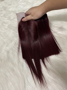 柔软光滑的彩色直越南处女假发供应商最优质的价格