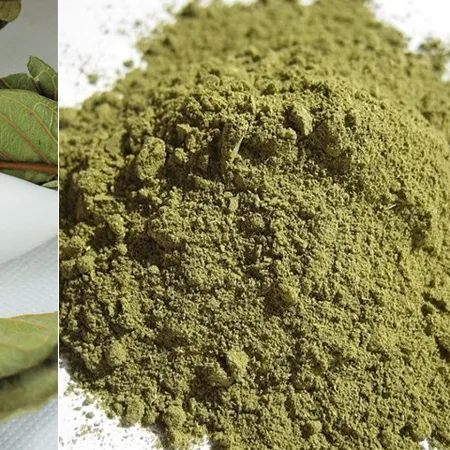 Naturale puro Solido di Estrazione Guava Polvere Solido Guava Leaf Powder dal Vietnam/Laura + 84 896611913