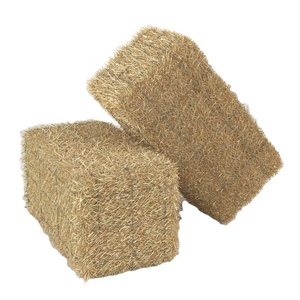 Paille de blé, bœuf, graines pour animaux, de haute qualité, protéine
