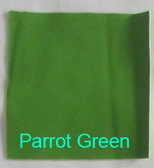 Perroquet Vert