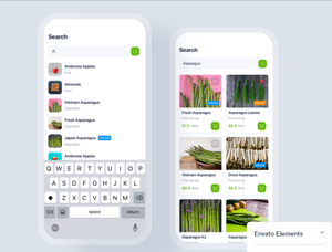 App modello professionale per sviluppatori di App B2B B2C Design di e-commerce personalizzato Android iOS focalizzato sul Software per ristoranti di spedizione Online - Product Image 3