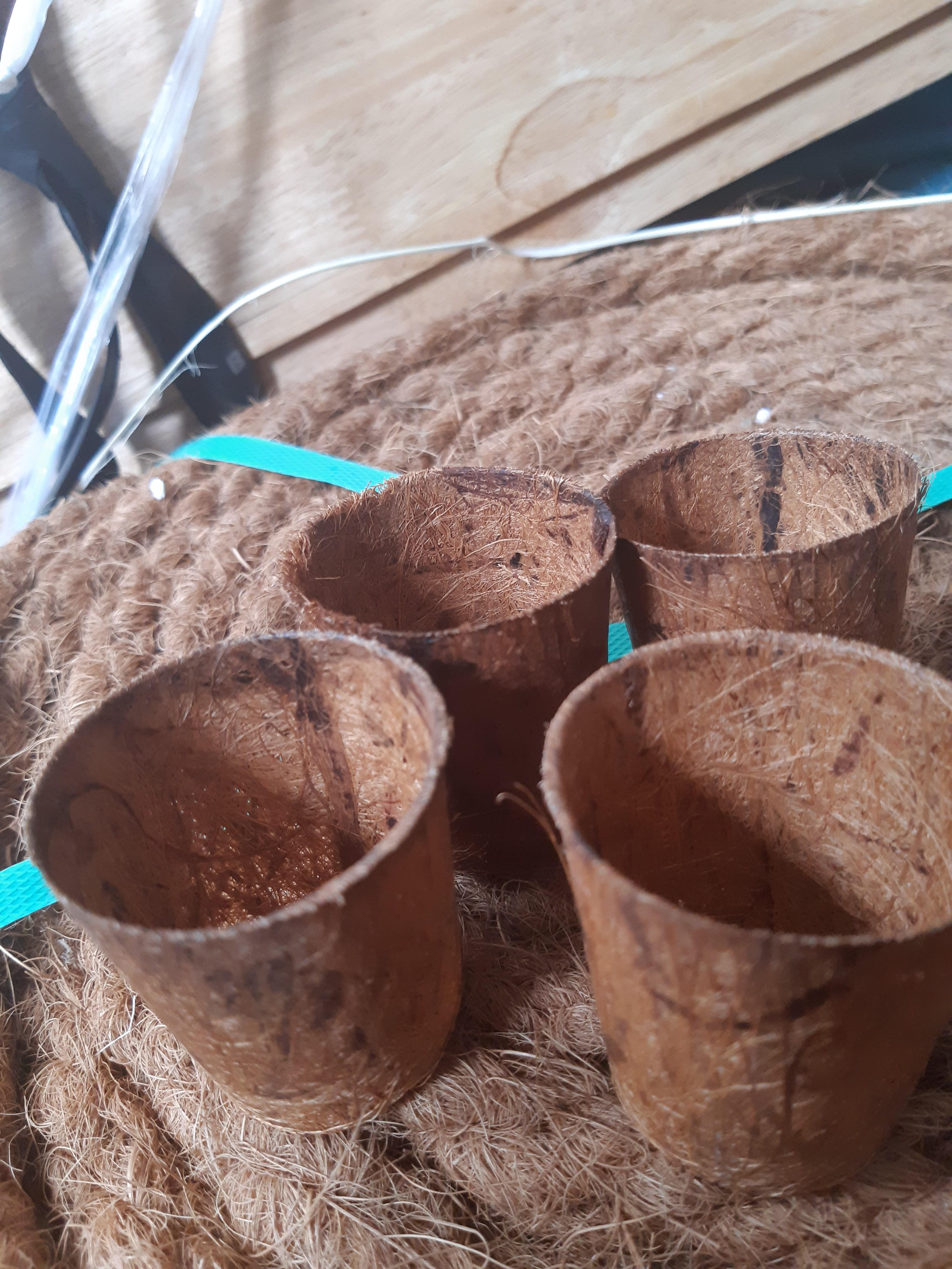 ธรรมชาติ