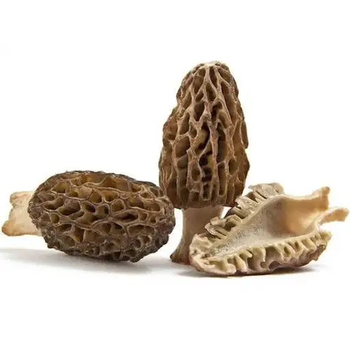 Qualité supérieure Choisi Ferme Prix de Noir Morel Champignons