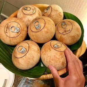 Aromatic Pull Ring Fresh <strong>Coconuts</strong> - High Quality <strong>Coconut</strong> From Vietnam