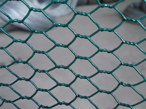 Hexagonal draht mesh pvc sechseckiger maschendraht - Product Image 4