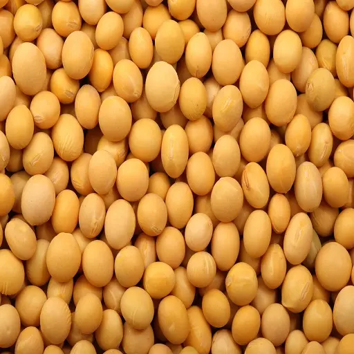 Yellow Grade 2 Non-GMO Soya/Soja/Soybeans, 34% Protein Min, Fit for Human Consumption