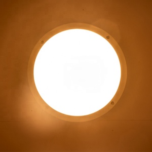 Surface Mounted Outdoor <strong>LED</strong> Ceiling Light <strong>LED</strong> Wall Light Bulkhead Light - Product Image 2