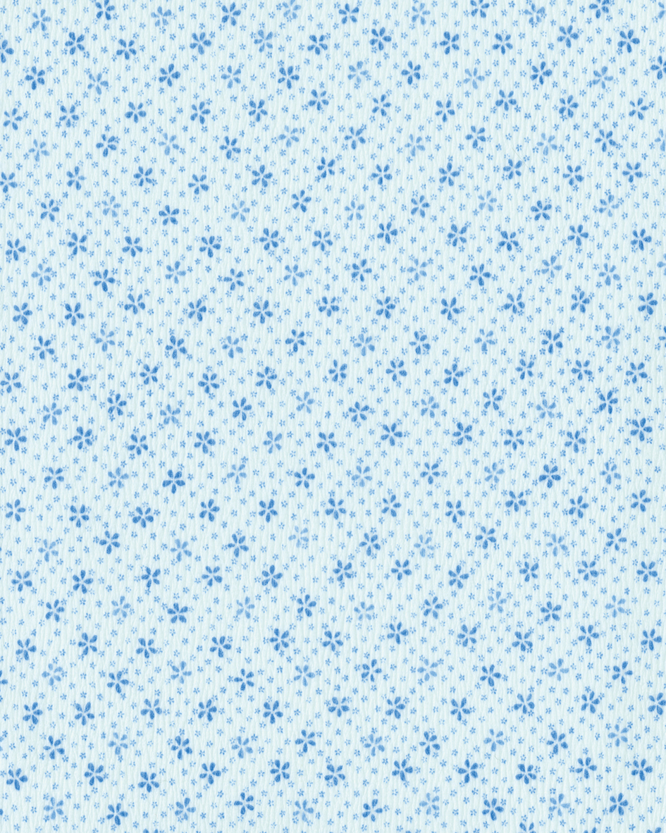 สีฟ้าอ่อน