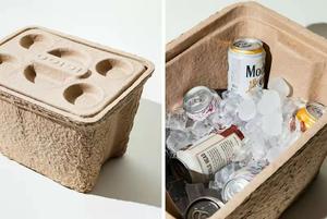 Personalizzato biodegradabile modellato pulp packagge scatola per la conservazione - Product Image 3