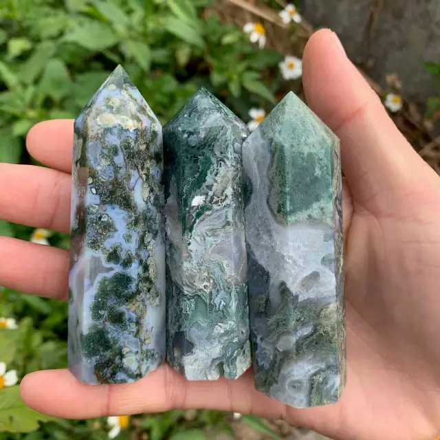 สีเขียวเข้ม