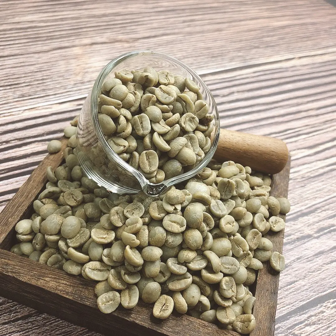 Tüm satış fiyatı Vietnam Robusta & Arabica kahve çekirdekleri 100% doğal yeşil kahve çekirdeği çekici lezzet