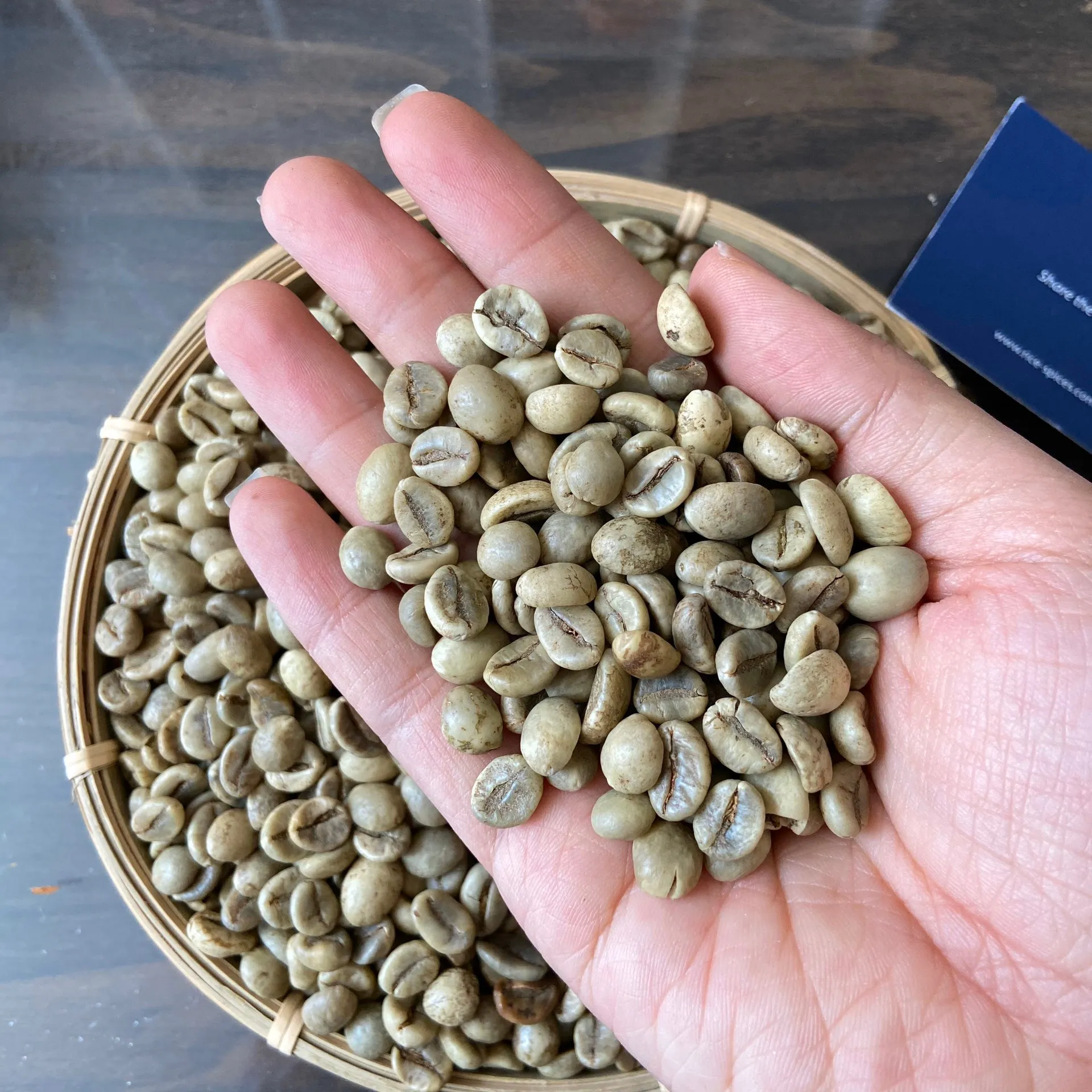 ROBUSTA COFFEE BEANS SCR 13 UNWASHED