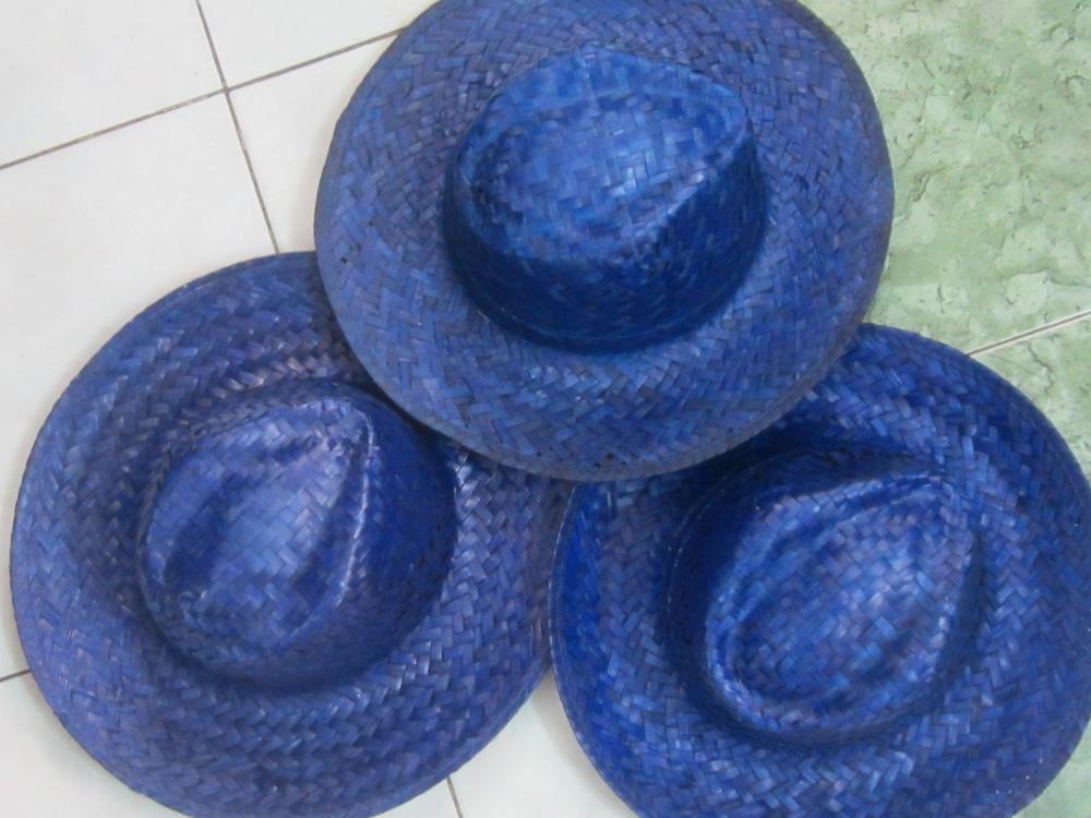 Bleu marine