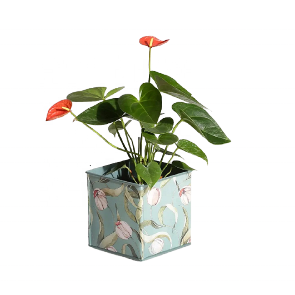 ตามที่แสดง