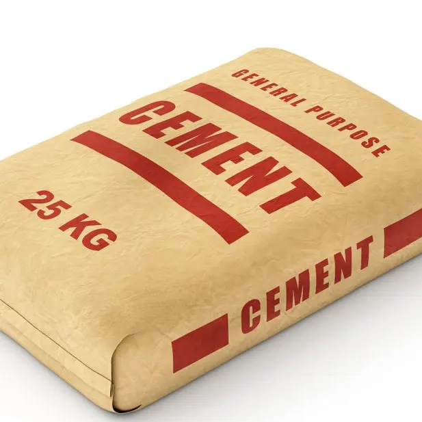25 kg/sac de ciment portland