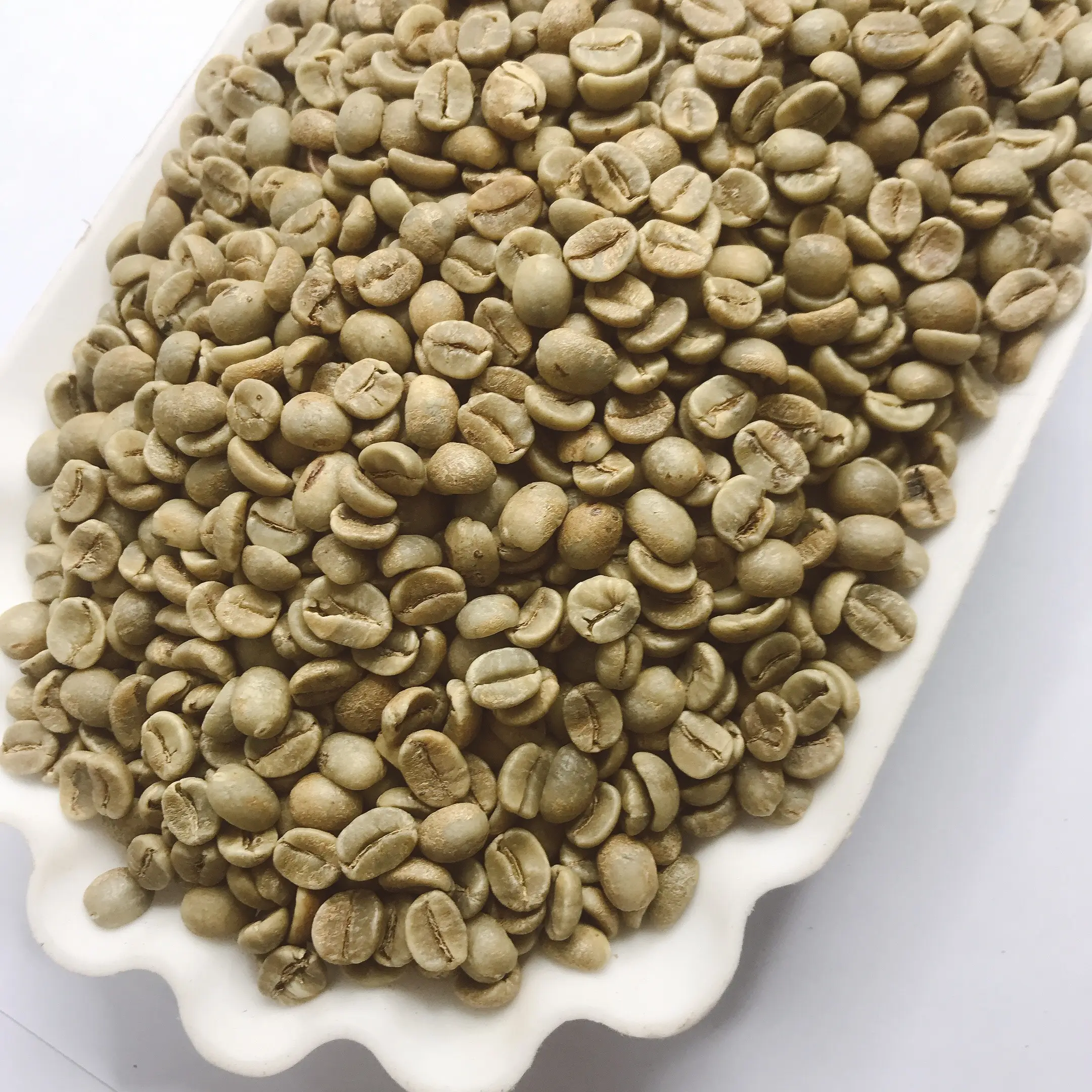 Premium green beans arabica coffee wet washed wet polished Vietnamese origin small order accepted with competitive price