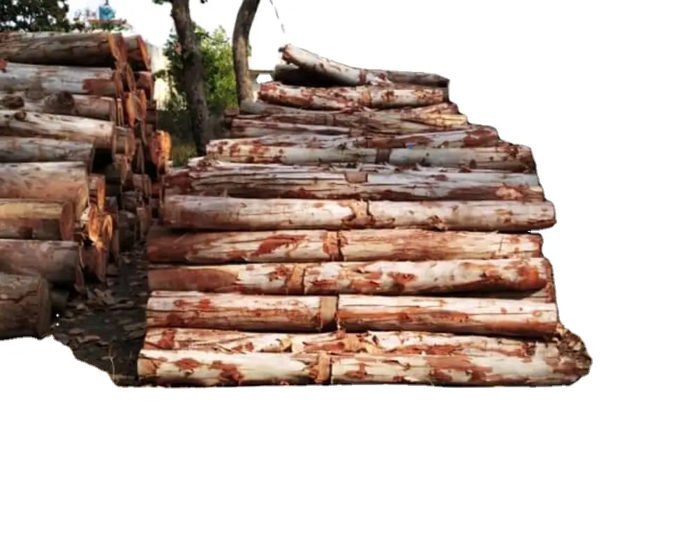 100% Natural Eucalyptus Wood logs/ Sawn Timber with best Price
