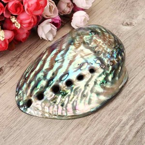 Polierte/rohe Muscheln-Abalone Muscheln-Schnecken häuser-Kunstsc halen vom Strand von Vietnam - Caryln - Product Image 1