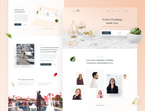 Registrazione del nome del dominio/Hosting Web/progettazione Web e servizi di sviluppo - Product Image 2