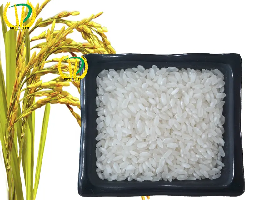 100% органический рисовый белый средний рис с коротким зерном высокого качества, происходящий во Вьетнаме 2022
