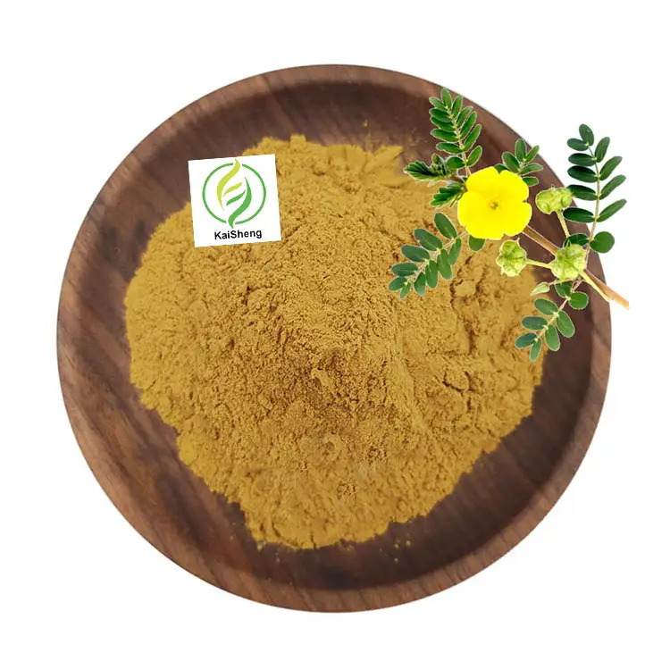 ขายส่งอาหารเสริมซาโปนิน 90% ผงสารสกัดจาก Tribulus Terrestris